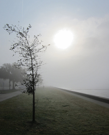 one foggy mornin'