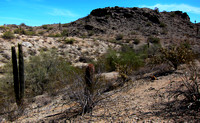 Desert Vistas (Arizona)